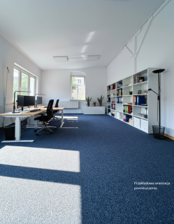 Dwupokojowe biuro w centrum Mickiewicza 15a