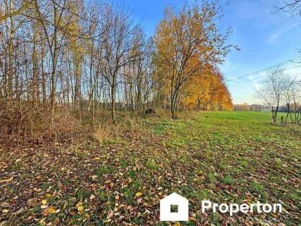 Działka bud-rolna Łomnica -2,47 ha