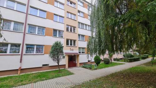 Do wynajęcia mieszkanie w Ząbkowicach Śląskich