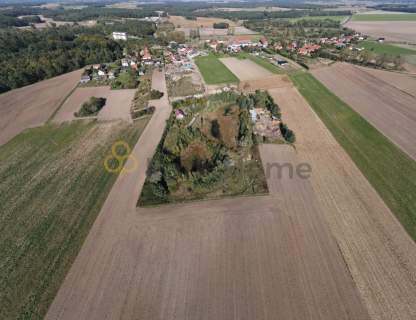 Ogromna przestrzeń z zielenią i stawem To tu