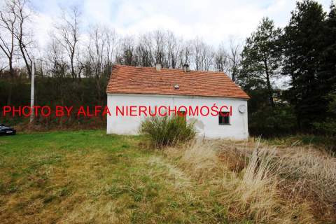Dom, staw, rzeka...