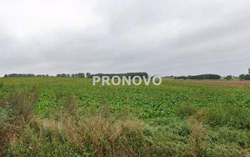 działki budowlane Bielice