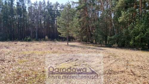 Działka przy lesie