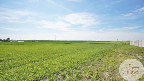 OSTATNIA DZIAŁKA 779 m2 Grzybno k. Mosiny