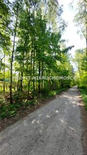Działka leśna na sprzedaż, 1034 m2, Jedlicze B