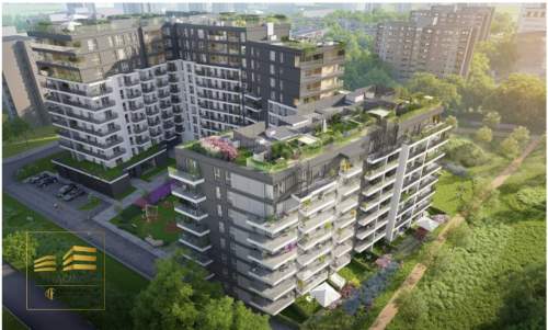 3 pokoje st. deweloperski Nowy Czechów