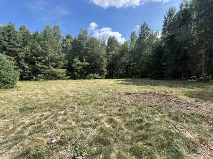 Działka 3117 m2 pośród drzew w Kowali gm. Puławy.