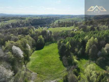 Działka budowlana na sprzedaż, 19800 m2, Zalasowa