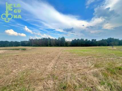 Jeleńska Huta, działki blisko lasu, cisza i spokój