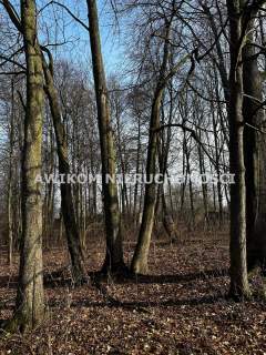 Dom na sprzedaż, 240 m2, Banie Mazurskie