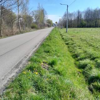 Międzyborów / Bieganów