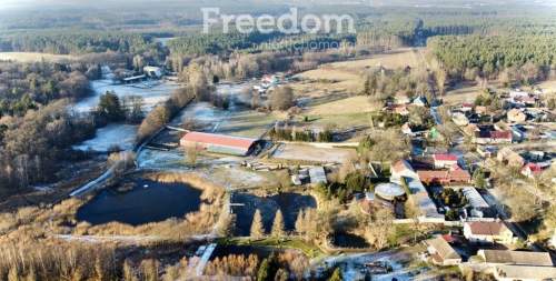 Piękna Stadnina Ośrodek treningu koni sportowych.
