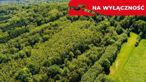 3 działki rolne na sprzedaż Skrzyszów 1,56 ha