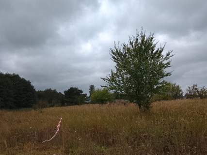 Działka budowlana na sprzedaż, 1492 m2, Stara Dąbrowa