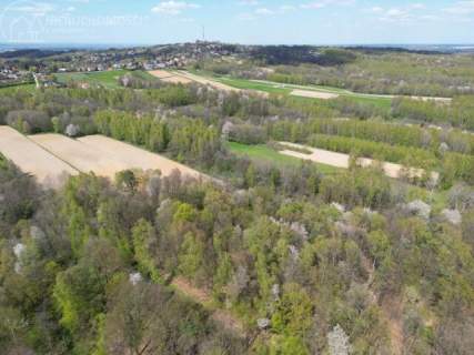 Twój prywatny las blisko Tarnowa - 98 arów spokoju i natury 