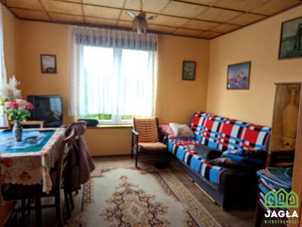 Jagodowo działka ROD 284/35m2 domek murowany las