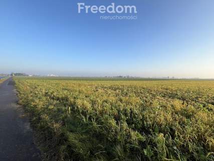 Działka budowlana w Browinie - 2 km od Chełmży