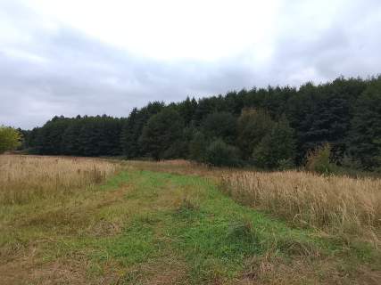 Działka budowlana na sprzedaż, 1492 m2, Stara Dąbrowa