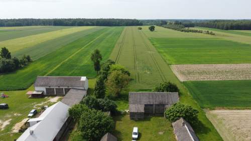 Działka rolna 3 ha w Jasieńcu Soleckim zwoleński 