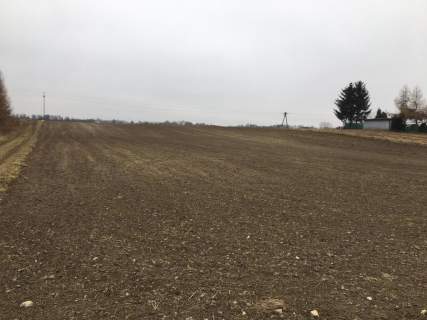 Działka 3000m2 Tomaszowice- Kolonia