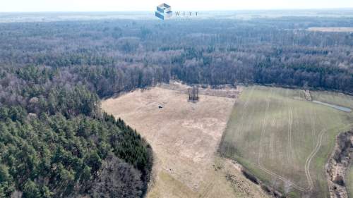 Duże działki pod lasem - Jędrychowo