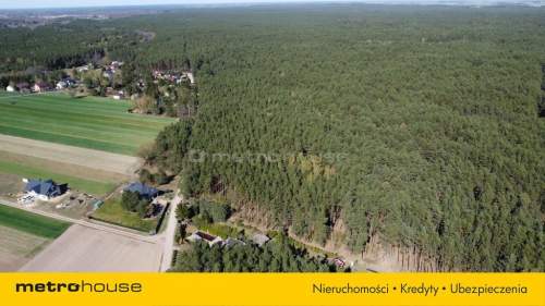 1.2 hektara - działka leśna w miejscowości Łacha