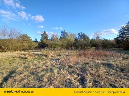 DUŻY TEREN INWESTYCYJNY 6800 m CHOSZCZÓWKA