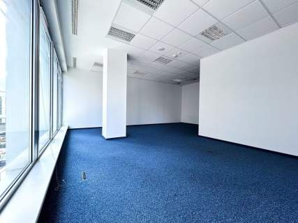 Nowoczesne biuro 309 m do wynajęcia