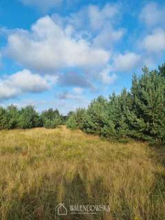 Działka 4000 m2 Smołdzino- idealna lokalizacja