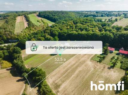 52,5 ara pod lasem Przybysławice, gm. Skała