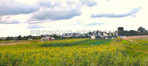 Lubczyna, działka nad Jeziorem Dąbie sprzedaż