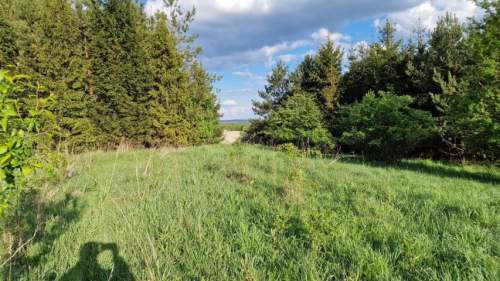 Działka budowlana na sprzedaż, 601 m2, Sadowie