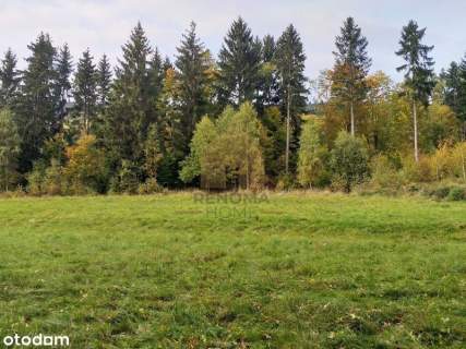 12 arów pod zabudowę w Jugowie - blisko natury