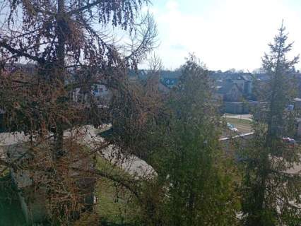 Kościerzyna mieszkanie 33 m2, osobna kuchnia, ul. Rogali