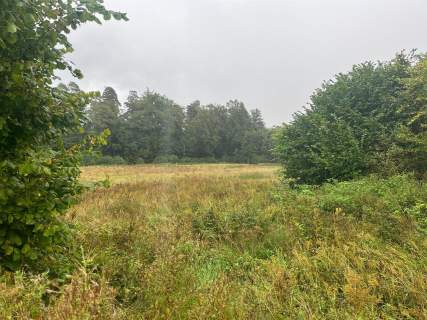 Działka rolna - Świecino