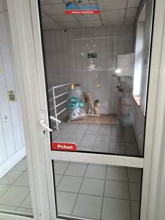 Nieruchomość komercyjna na sprzedaż, 360 m2, Czarnków