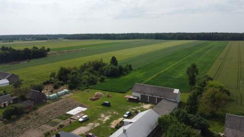 Działka rolna 3 ha w Jasieńcu Soleckim zwoleński 