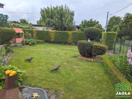 Jagodowo działka ROD 284/35m2 domek murowany las