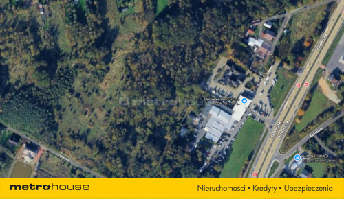 Działka 1,48ha Kolonia Poczesna