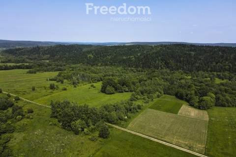 1,38 ha pod siedlisko, działka widokowa
