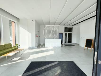 Witryny, szyld reklamowy, parter, Toruń centrum