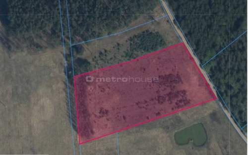 Działka budowlana na sprzedaż, 7500 m2, Gąba