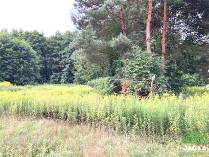 Silno działka 3400m2 WZ bezterminowe na dwa domy