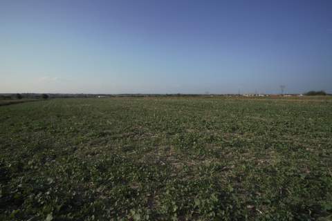 Działka 0,94ha U/MN Wólka gm. Długie pod Lublinem.