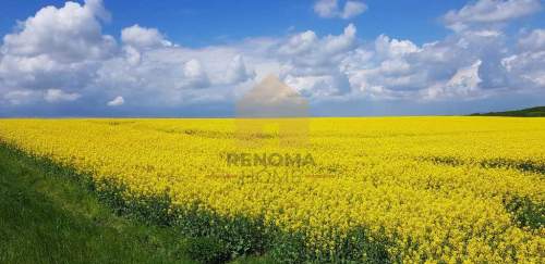 Działka na sprzedaż, 2533 m2, Świdnica