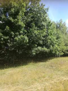 Kolonia Garbatówka, działka rolna, 3,18 ha