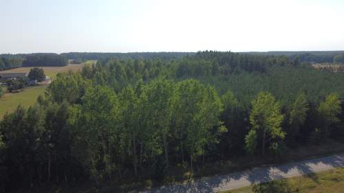 Dom na dużej działce w Świesielicach gm. Ciepielów