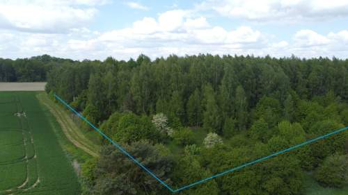Działka 2,15 ha z potencjałem koło Nałęczowa.