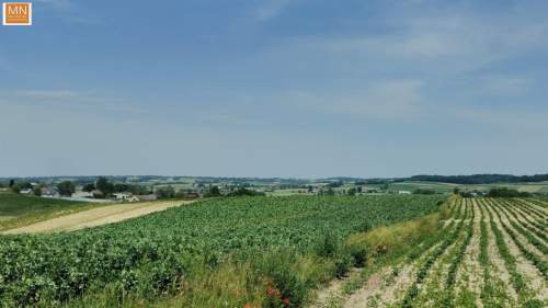 Koszyce,Rachwałowice,Działki 1,2142haROLNE
