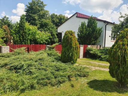 Piękne siedlisko położone w Kiełczewicach Górnych.